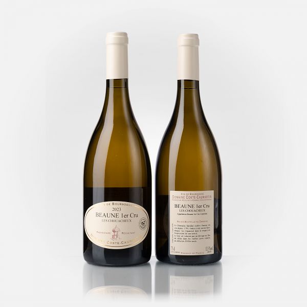 Beaune 1er Cru Les Chouacheux blanc  