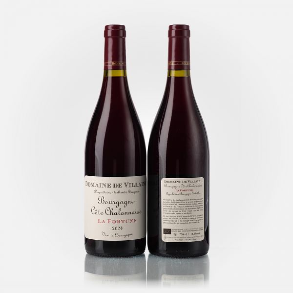 Bourgogne Côte Chalonnaise rouge La Fortune  