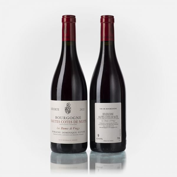 Bourgogne Hautes Côtes de Nuits Les Dames de Vergy rouge 