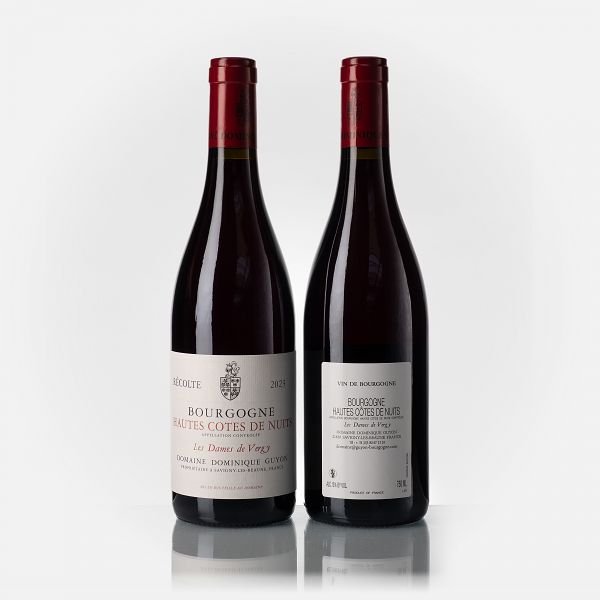 Bourgogne Hautes Côtes de Nuits Les Dames de Vergy rouge 
