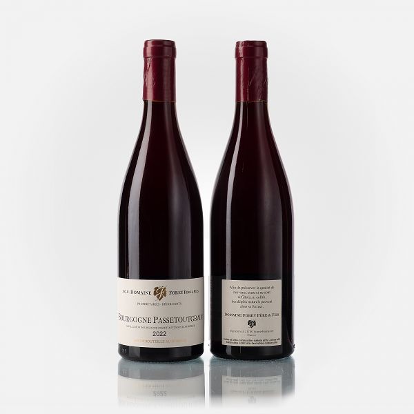 Bourgogne Passetoutgrain  