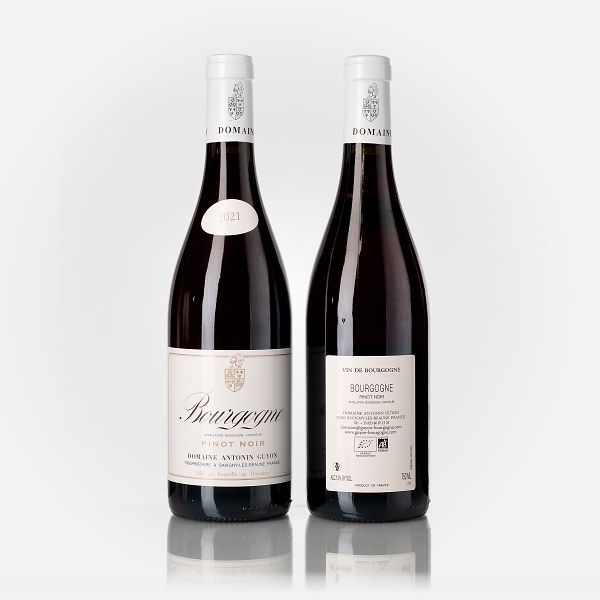 Bourgogne Pinot Noir  
