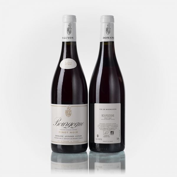 Bourgogne Pinot Noir  
