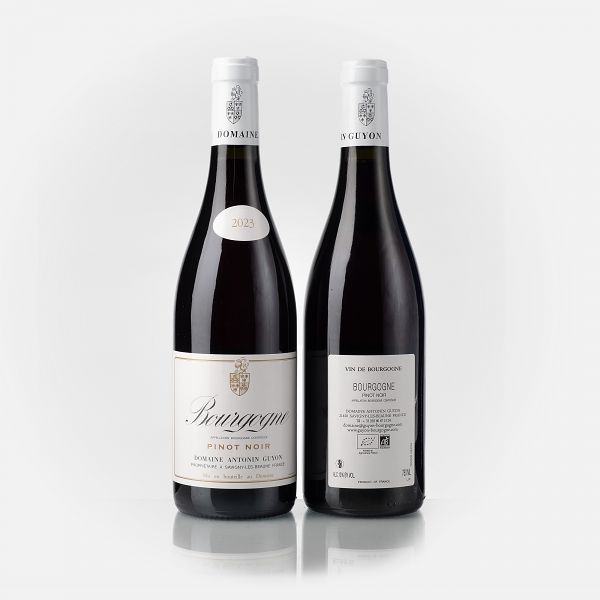 Bourgogne Pinot Noir  