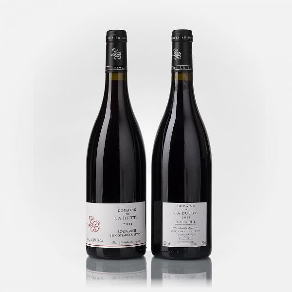 Bourgueil Les Côteaux du Levant  