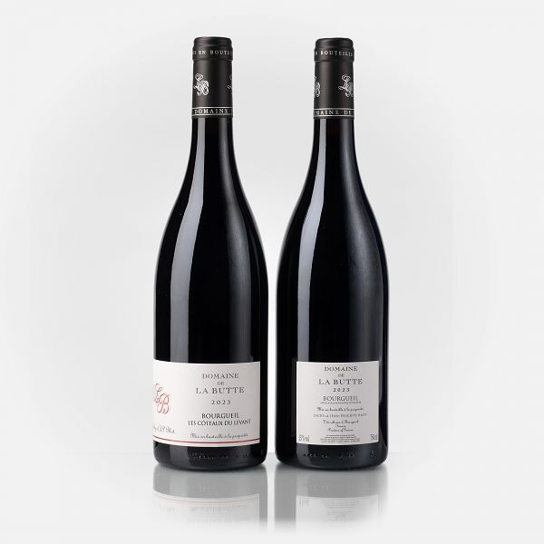 Bourgueil Les Côteaux du Levant  