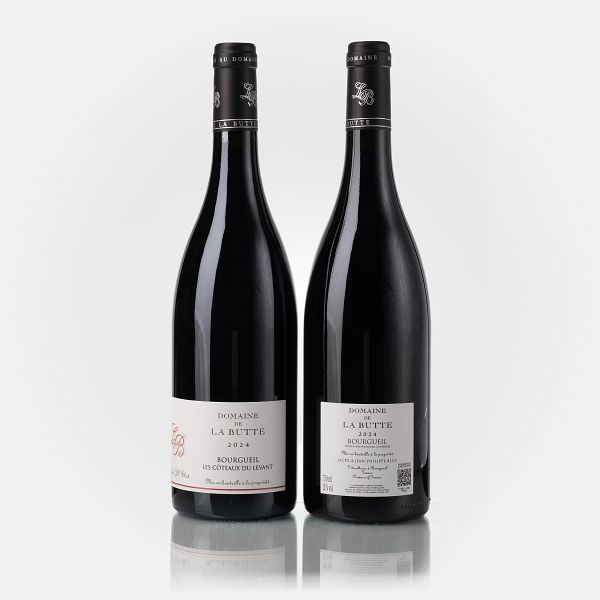 Bourgueil Les Côteaux du Levant  
