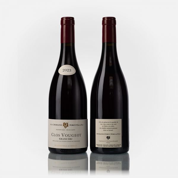 Clos Vougeot Grand Cru  
