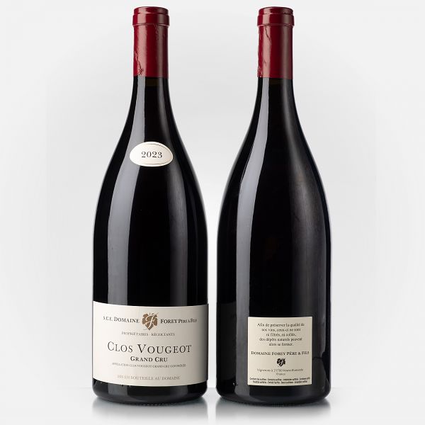 Clos Vougeot Grand Cru  