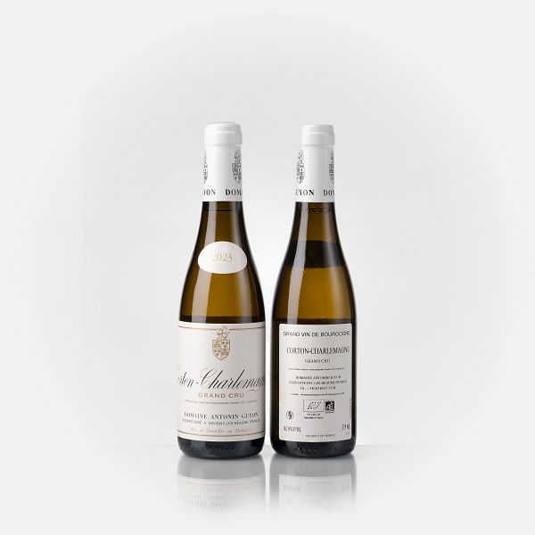 Corton Charlemagne Grand Cru  