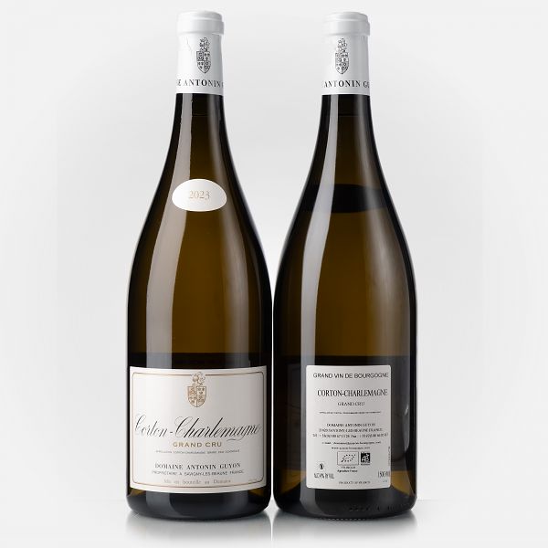 Corton Charlemagne Grand Cru  