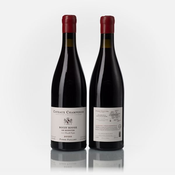 Coteaux Champenois - Les Mignottes  