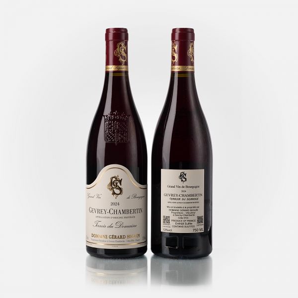 Gevrey-Chambertin Terroir du Domaine (Plantée 1950) 