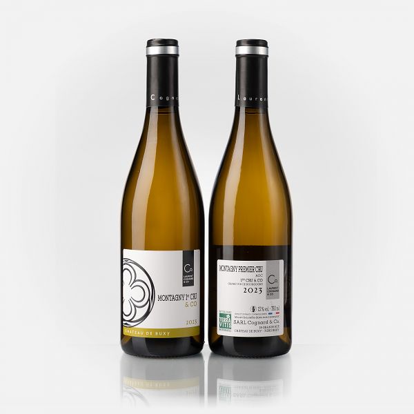 Montagny 1er Cru & Co.   