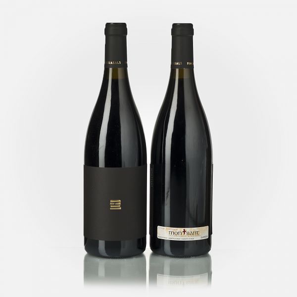 Montsant Finca Aiguasals Carignan  