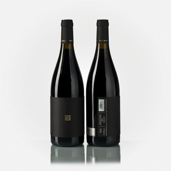 Montsant Finca Aiguasals Carignan  
