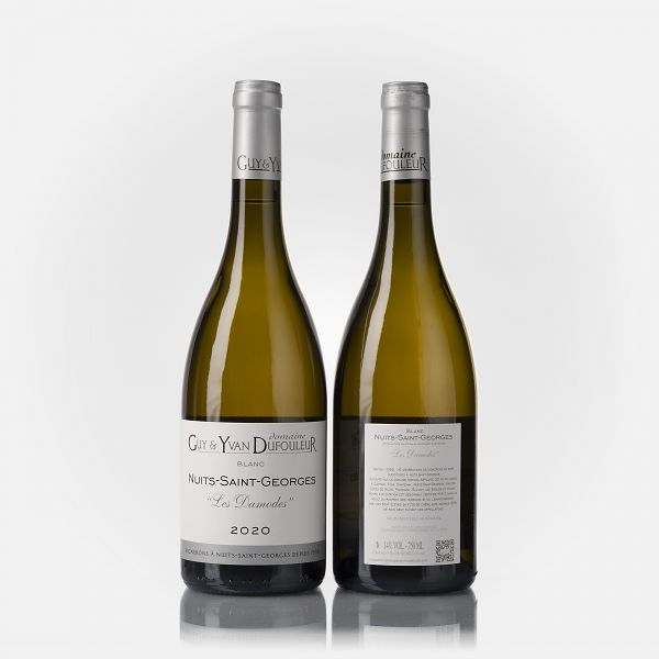 Nuits-Saint-Georges Les Damodes blanc  