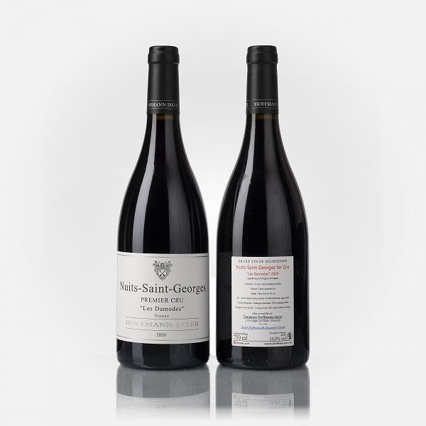 Nuits-St.-Georges 1er Cru les Damodes  