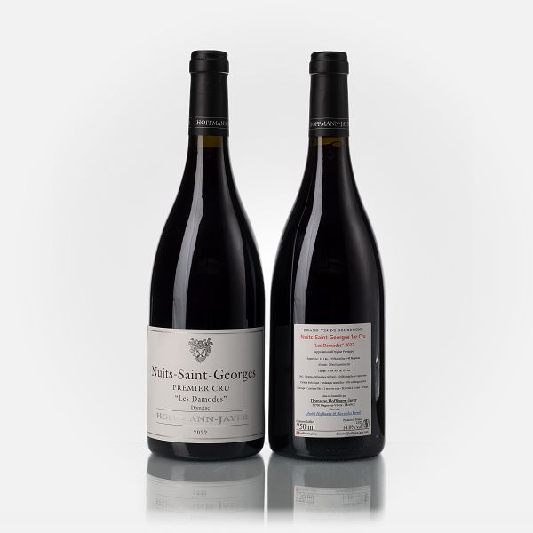 Nuits-St.-Georges 1er Cru les Damodes  