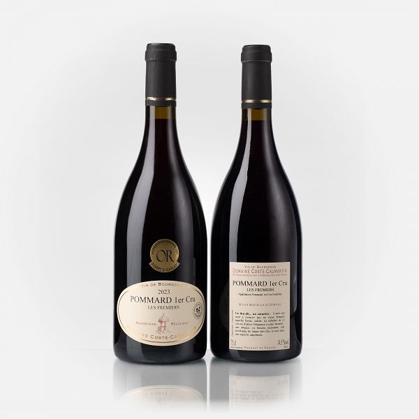 Pommard 1er Cru Les Fremiers (Plantée en 1985) 