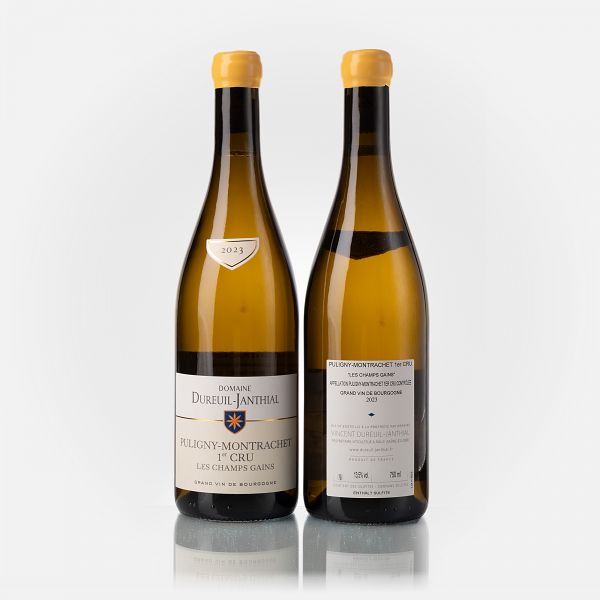 Puligny-Montrachet 1er Cru Les Champs Gains  93 RP