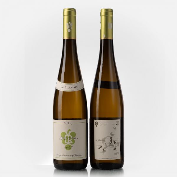 Riesling trocken vom Muschelkalk  