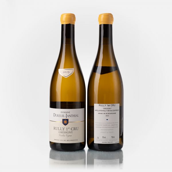 Rully 1er Cru Grésigny Vieilles Vignes blanc  95 RP