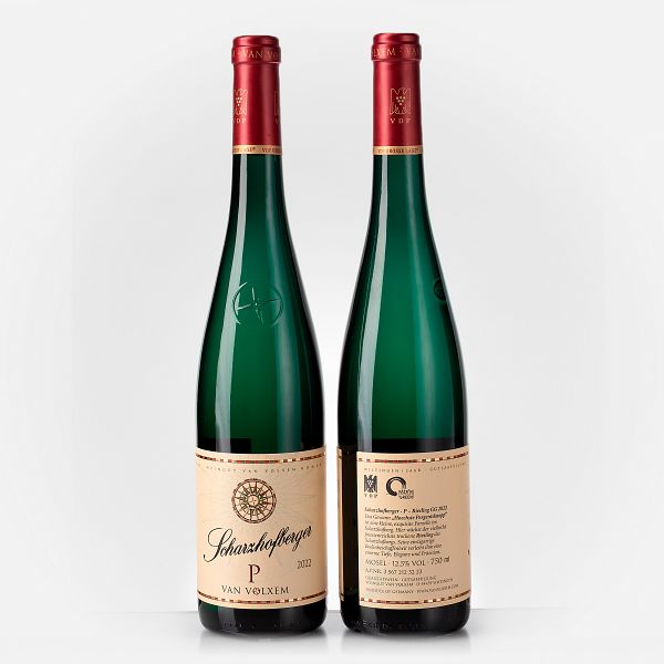 Scharzhofberger Pergentsknopp Riesling Großes Gewächs 93 RP