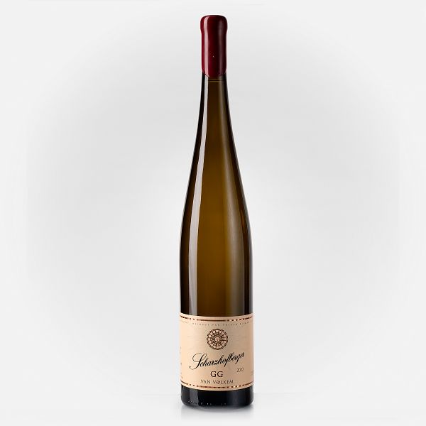 Scharzhofberger Pergentsknopp Riesling Großes Gewächs 93 RP