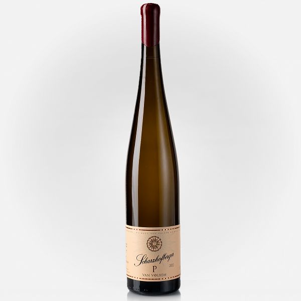 Scharzhofberger Riesling Grosses Gewächs  93 RP
